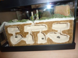 Mon 2eme Terra (XL) pour Camponotus ligniperdus (petit tuto), 14.JPG