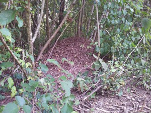 Environ 80cm de haut 1m de diamètre en gros., Bourgogne