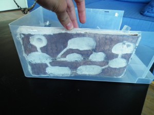 Faire adhérer le mortier au plexi, nid_front.jpg