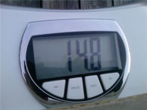 Fourmiliere verticale en béton avec déco, .1.jpg