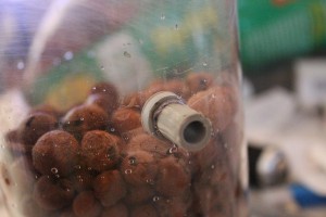 nid coupeuses de feuilles, Nid pas cher pour coupeuses de feuilles