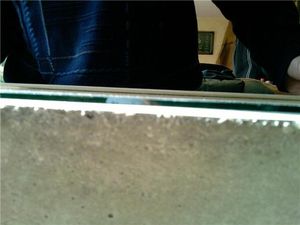 Fourmiliere verticale en béton avec déco, .6.jpg