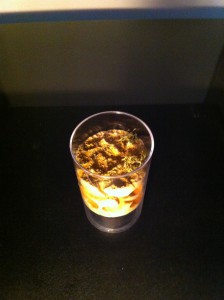 L'AdC granuleuse avec quelques reliefs et du lichen pour modélisme permet d'observer les Ponera pendant leur chasse., Les conceptions de M.Ants