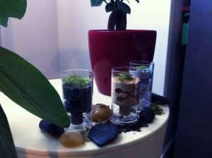 Les conceptions de M.Ants, IMG_0632.JPG