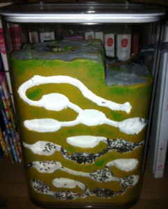 Les nids de Cuioki, Nid.jpg