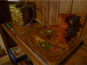 Les nids de Cuioki, ADC 1.jpg