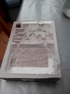 Lasius niger / emarginatus, P2110334.JPG