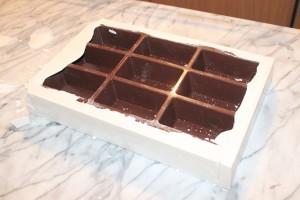 Nid plâtre Messor capitatus, Nid horizontal en plâtre réalisé avec moule à gâteau