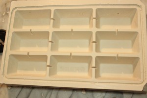 Nid plâtre Messor capitatus, Nid horizontal en plâtre réalisé avec moule à gâteau
