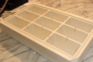 Nid plâtre Messor capitatus, Nid horizontal en plâtre réalisé avec moule à gâteau