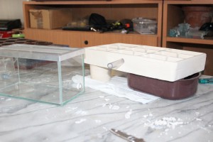 Nid plâtre Messor capitatus, Nid horizontal en plâtre réalisé avec moule à gâteau