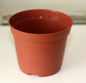 [Tutoriel] Aire de chasse végétalisée (plantes grasses & cactus), 6.jpg