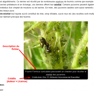 Les Fichiers Joints, explication_credits_des_fichiers.png