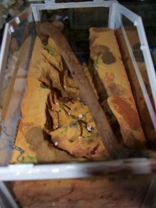 Essai/tuto de nid en béton cellulaire, Beton cellulaire 18.jpg
