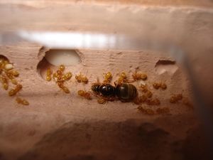 funkyben, DSC05420.JPG