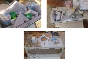 [Tutoriel] Nid BC évolutif et végétalisé pour Messor barbarus, 11.jpg