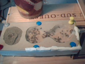 Relâcher ou non ?, Picture 39.jpg