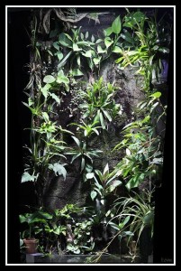 tom, [Group 1]-IMG_0446_IMG_0448-3 images (Copier).jpg