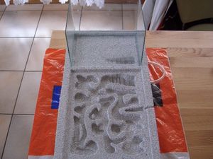 montage des verres de l ADC collé avec du silicon pour aquarium, Construction de mon nid pour mes Crematogaster scutellaris suite