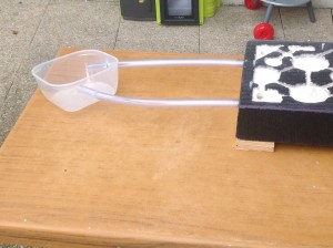 Mon nid BC fini, image.jpg