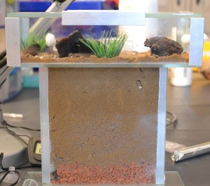 , DSC_0170 copie.jpg