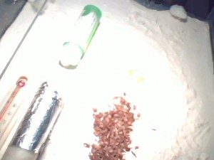 Sans le cache., [Blog] Mon blog sur mes Messor barbarus (encore un) !