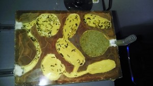 [Blog] Messor barbarus, IMAG0120.jpg