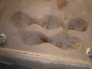 [Blog] Mes Lasius flavus et emarginatus, 25.jpg