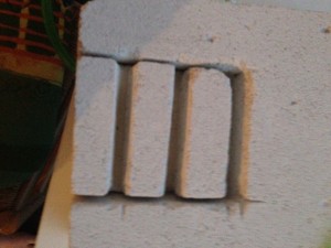 Premier nid BC, image.jpg