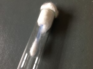 Nourrir sa colonie dans son tube grâce au coton de sortie, image.jpg