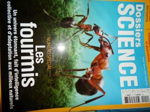 Dossiers science : les fourmis, SAM_0590__1384882614_82.246.35.221.jpg