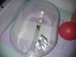 Les colonies de PasPayer, 2.jpg