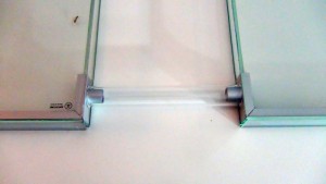 [Blog] Camponotus maculatus (Libertango), ---DSC00420.jpg