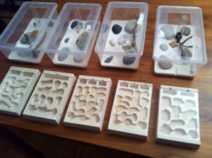 Présentation de mes nouveaux nids + ADC, photo (14).JPG