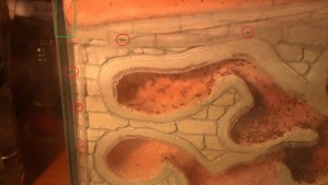 Projet nid + ADC "Alcatraz" pour Pheidole, alcat_end00.jpg