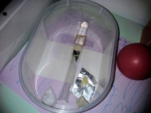 [Blog] Les colonies de PasPayer, 2.jpg