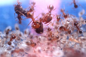 En tirer quelque chose ?, 2.JPG