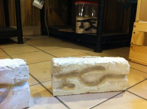 Nid pour Cataglyphis, Photo6.jpg