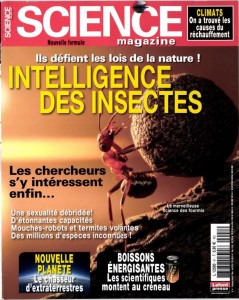 Intelligence des insectes, nouveau sciences magazine., L2580.jpg