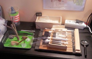 [Blog] Les colonies de PasPayer, 20140201_164406.jpg