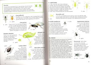 Liste fourmis, plantes et pucerons, livre896ab.jpg