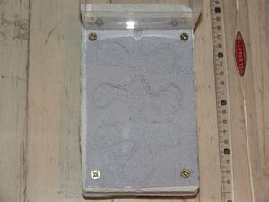 PETIT nid en bc pour début de colonie, DSCF8703.JPG
