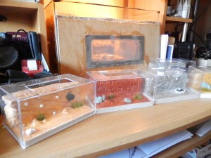 Mes nouvelles créations, DSCN1756.jpg