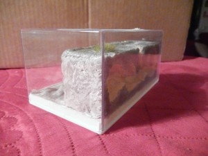 Mes nouvelles créations, DSCN1781.jpg