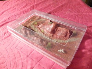 Mes nouvelles créations, DSCN1793.jpg