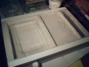 [Blog] Les Formica sanguinea de mcabioch, Picture 170.jpg