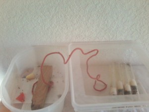 [Blog] Les colonies de Reversi, Photo-0001 (2).jpg