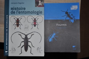 Ma collection, DSC_0077 (800x531).jpg