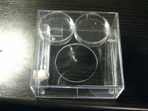 Nid sec 100% transparent, IMG_4547.JPG