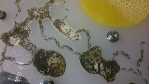 Conceptions de KORGGER, DSC_0028.jpg